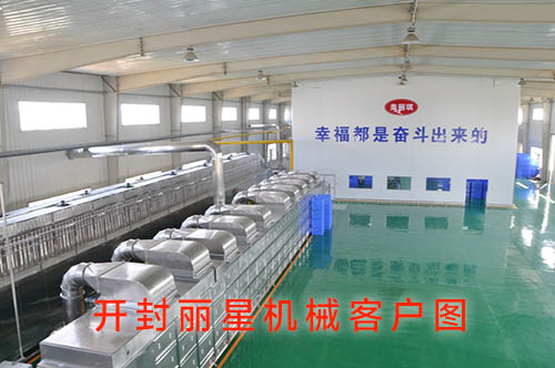 河南俏丽琪食品有限公司引进J9集团国际站方便粉丝出产线