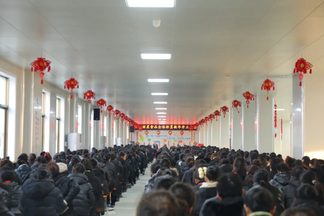 玉兔迎新春，奋进新征程