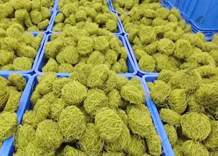 羽衣甘蓝粉丝机.jpg